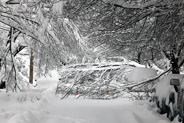 Blizzard Aftermath stock photo