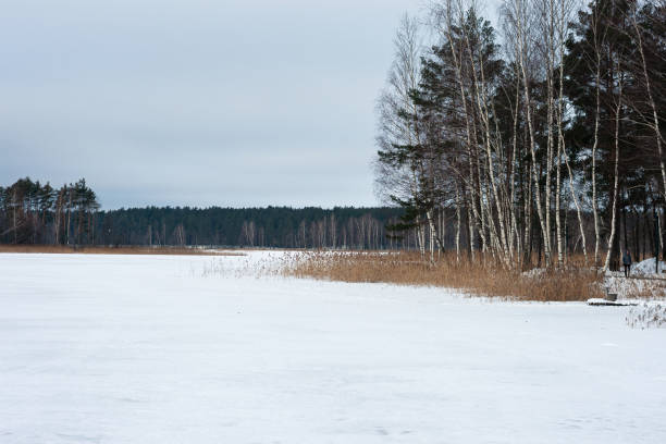 istock winter lake covered with snow 1575692154
