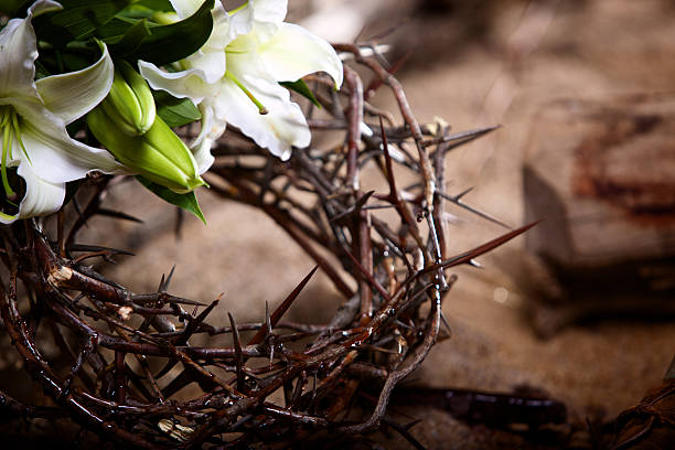 부활제 공유일 열정 릴리 - easter crown of thorns forgiveness savior 뉴스 사진 이미지