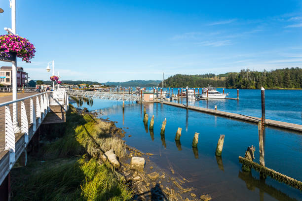 istock Riverwalk in Siuslaw River in Florence, Oregon 1575695435