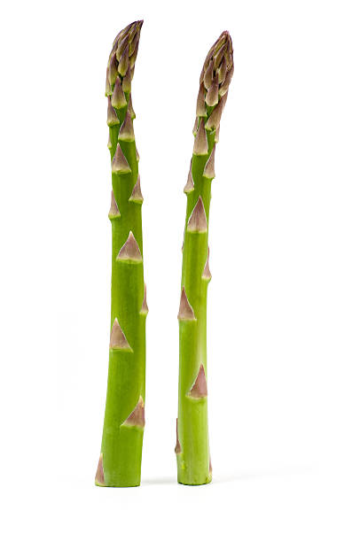 dois verde espargos de corpo inteiro de imagem - asparagus imagens e fotografias de stock