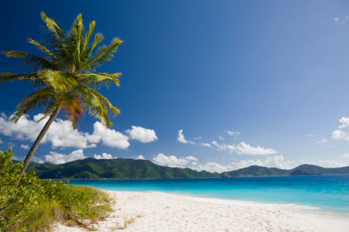 white sand beach with palm tree on beautiful tropical island in the Caribbean