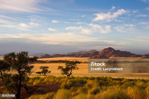 Morgenstimmung Stockfoto und mehr Bilder von Afrika - Afrika, Steppenlandschaft, Semiarid