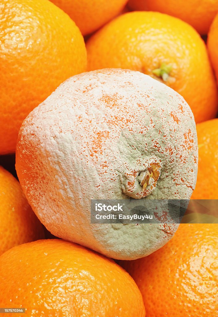 Rotten fruits frais - Photo de Fruit libre de droits