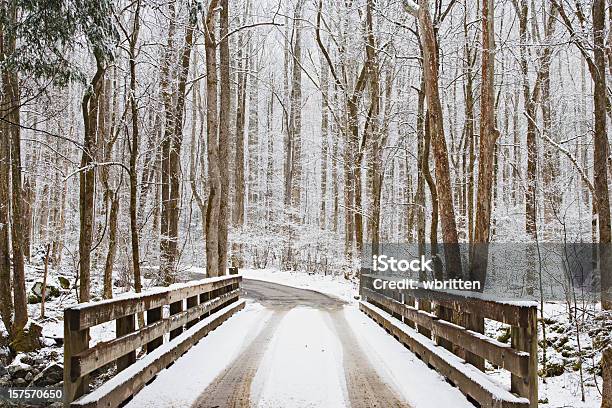 Ponte De Inverno - Fotografias de stock e mais imagens de Inverno - Inverno, Parque nacional das montanhas de Smoky, Ao Ar Livre