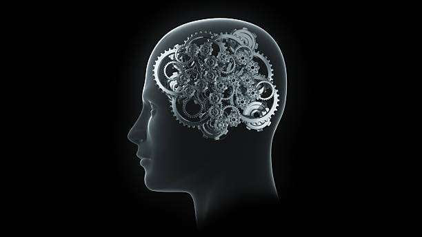Head with gears and cogs stock photo