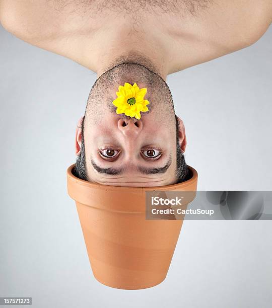 Plant Boy With A Yellow Flower Stock Photo - Download Image Now - Eccentric, Flower, Human Hair