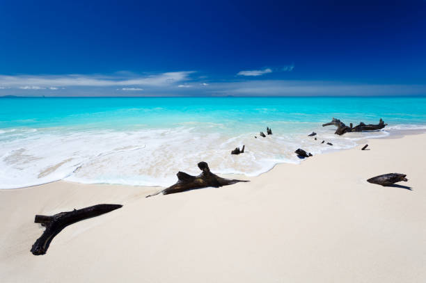 pacific ocean in Canada