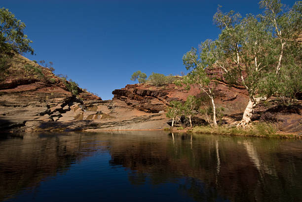 dale gorge, parque nacional de karijini creek - spinnifex - fotografias e filmes do acervo