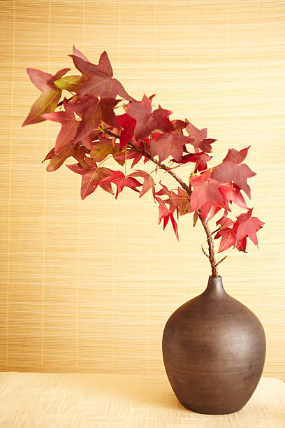still life of red maple leaves in vase - vase texture stockfoto's en -beelden