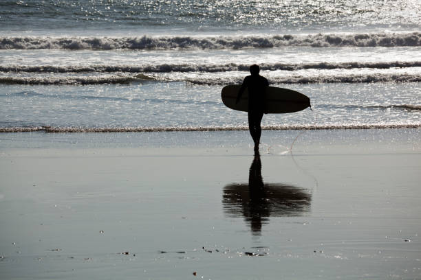 istock Surfer Afternoon in Southern California 157571772