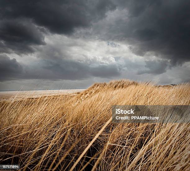 Dunas Frome Una Vista A La Playa Foto de stock y más banco de imágenes de Duna de arena - Duna de arena, Tormenta - Tiempo atmosférico, Viento