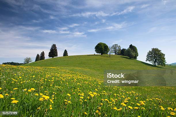 Баварские Весна Луг — стоковые фотографии и другие картинки Альгой - Альгой, Апрель, Бавария