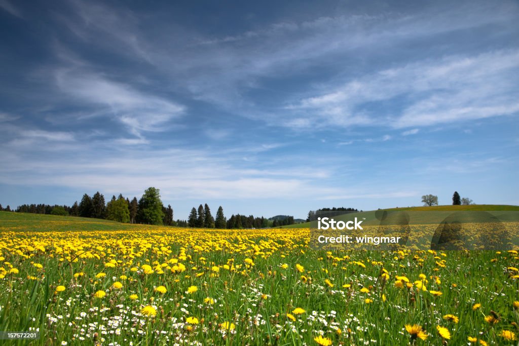 bavarian printemps Prairie - Photo de Agriculture libre de droits