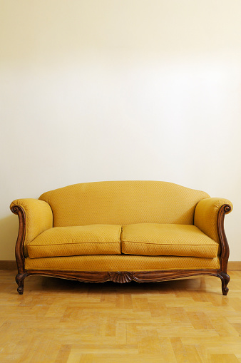 Vintage sofa in the living room