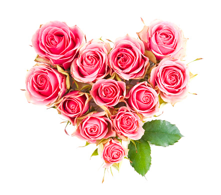 Rock Heart shape made of flowers of pink and red rose and two green petals isolated on white background. Studio shot.