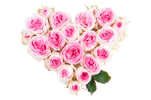 Heart shape made of flowers of pink and white rose isolated on white background.