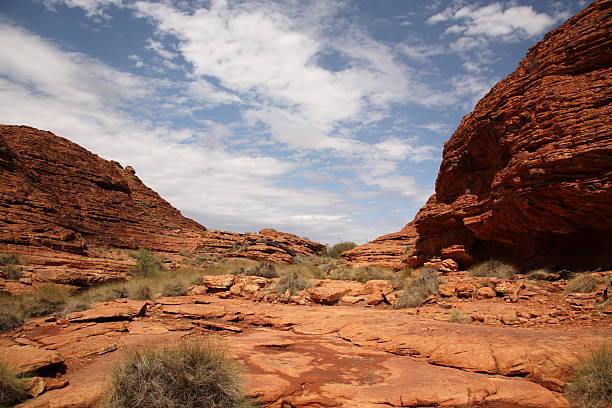 Landscape of kings canyon in outback, red centre of Australia