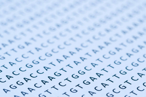 Blue tinted printout of DNA nucleotide sequence on paper Macro of a nucleotide sequence print out. Selective focus with very shallow depth of focus, sharpest focus on the letters in left foreground, the letters in the mid to background, and front left corner, are out of focus, but still recognizable. Blue tint. This is a photograph of a printout on paper and at 100% the paper texture and imperfections of the letters are visible. Makes a great background for PowerPoint presentation for molecular biology, genetics, systematics, genomics or evolution lectures. dna sequencing gel stock pictures, royalty-free photos & images