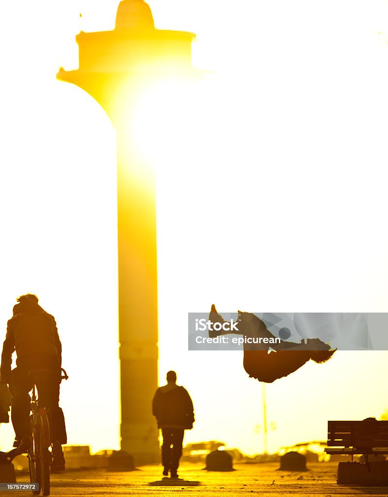 Back-Flip auf den Pier - Lizenzfrei Fahrrad Stock-Foto