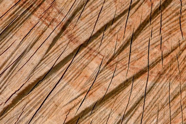 istock Cracked wood close up, filling the frame 1575750217