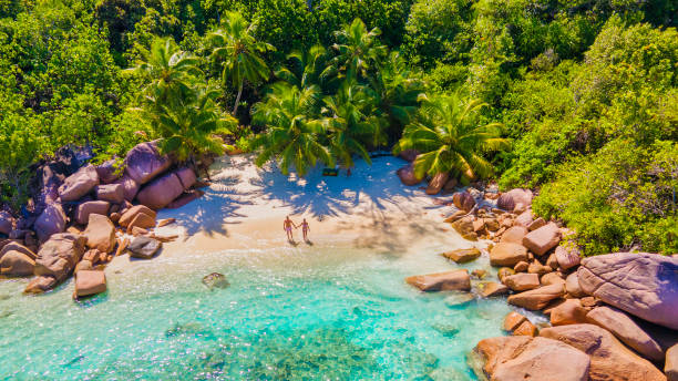 istock Praslin Seychelles tropical island with withe beaches and palm trees, couple men and women mid age on vacation at the Seychelles visiting the tropical beach of Anse Lazio Praslin Seychelles drone view 1575772713