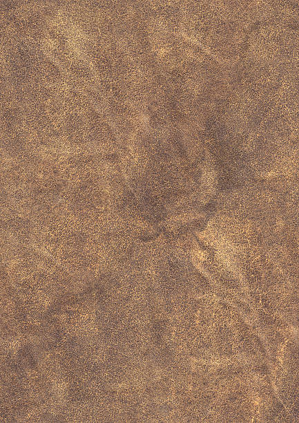istock High Resolution Old Brown Sheep Leather Seamless Grunge Texture 157579128