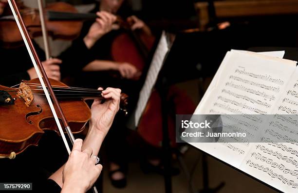 Photo libre de droit de Femme Violinists banque d'images et plus d'images libres de droit de Musique de chambre - Musique de chambre, Orchestre, Musique