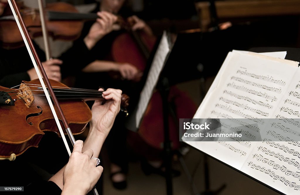 雌 Violinists - 室内楽団のロイヤリティフリーストックフォト