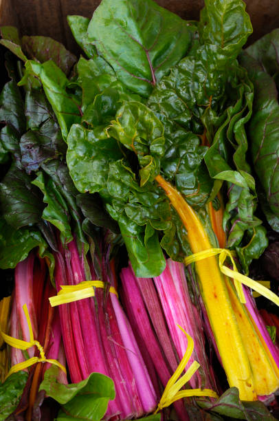istock Organic Rainbow Chard Ready for Shipping 157579316