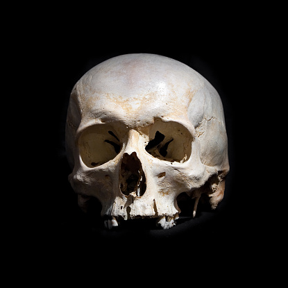 Human skull with crossed bones isolated on black background, pirate flag