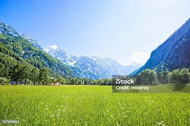 Idyllische Alpen Valley Stockfoto und mehr Bilder von Alpen - Alpen, Baumblüte, Berg