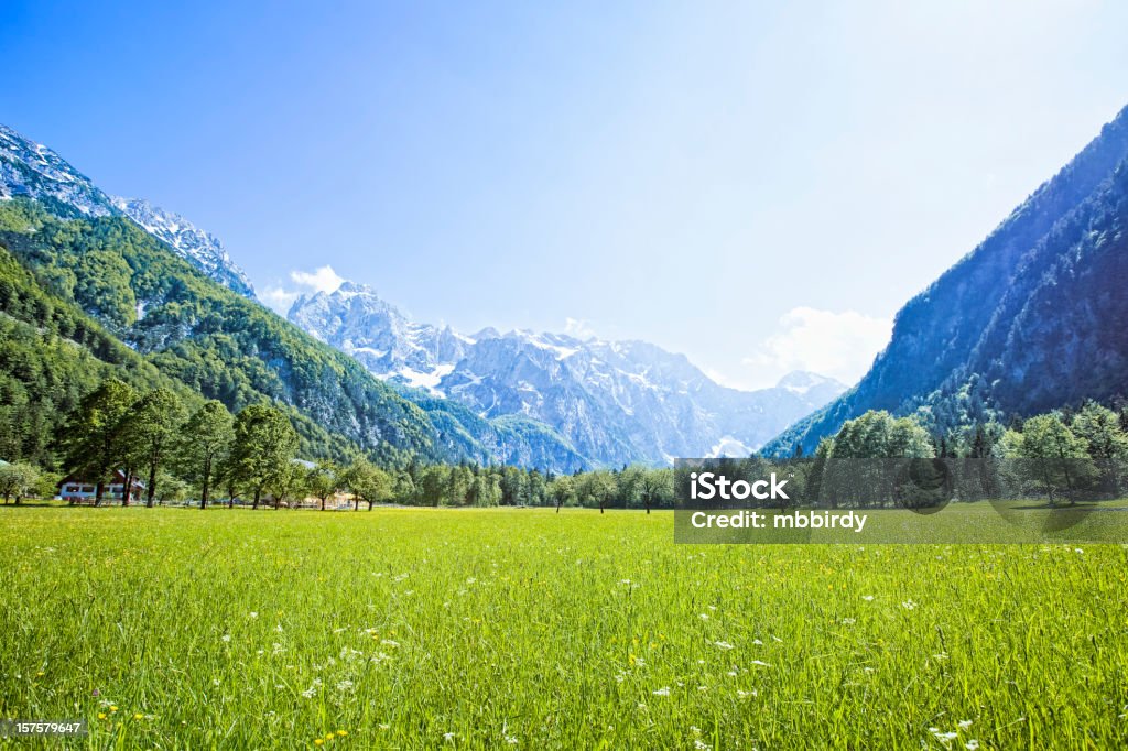 Idyllic Alps valley Logarska dolina, Slovenia Idyllic Alps valley Logarska dolina, Slovenia. Agricultural Field Stock Photo