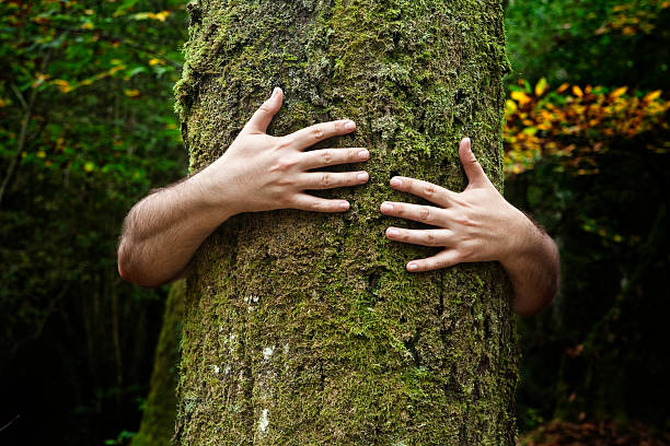 Two hands embracing a tree trunk Human hands embracing a tree trunk. hugging tree stock pictures, royalty-free photos & images