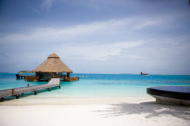 몰티브 - hut maldives beach hut jetty 뉴스 사진 이미지