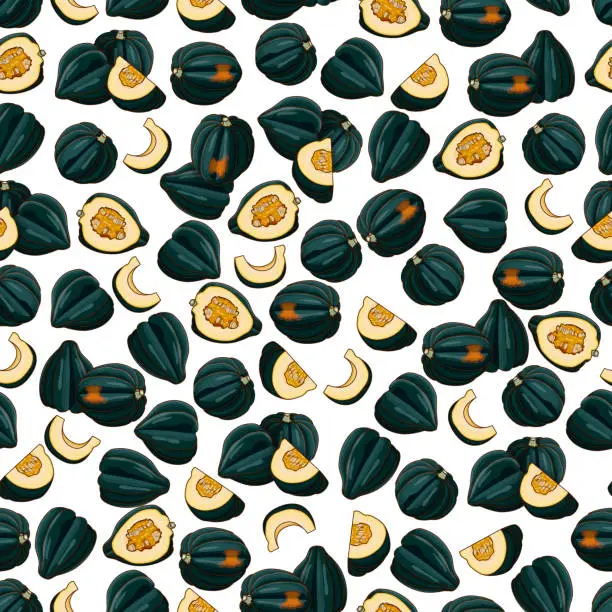 Vector illustration of Seamless pattern with Acorn squash or Honey bear squash. Des Moines squash. Tuffy squash. Winter squash. Cucurbita pepo. Fruits and vegetables. Cartoon style. Isolated vector illustration.