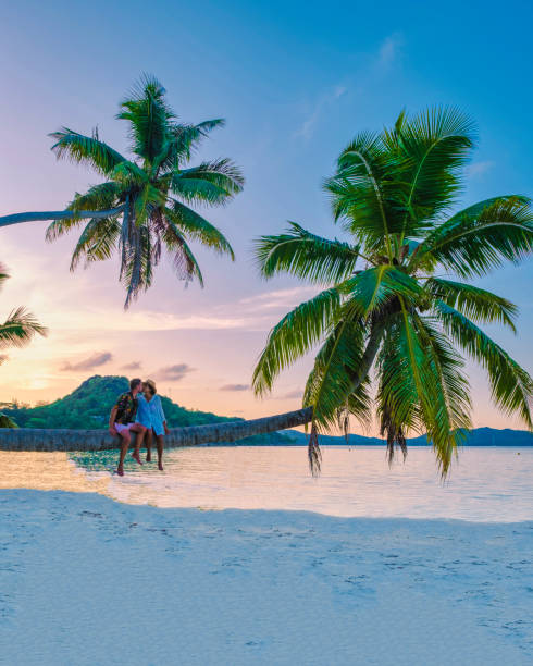 istock Praslin Seychelles tropical island with withe beaches and palm trees, couple men and woman with palmtree watching sunset 1575806082