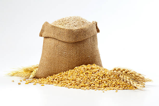 Hessian sack of grain and wheat Whole wheat. wholegrain flour stock pictures, royalty-free photos & images