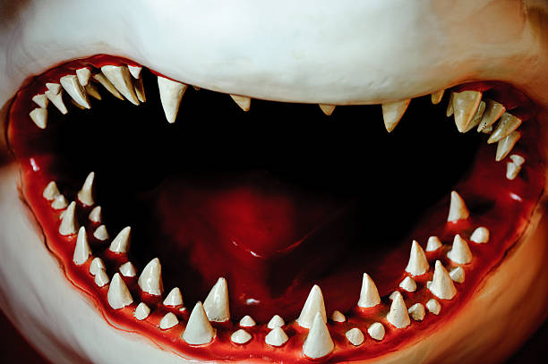 Jaws teeth with mouth and tongue
