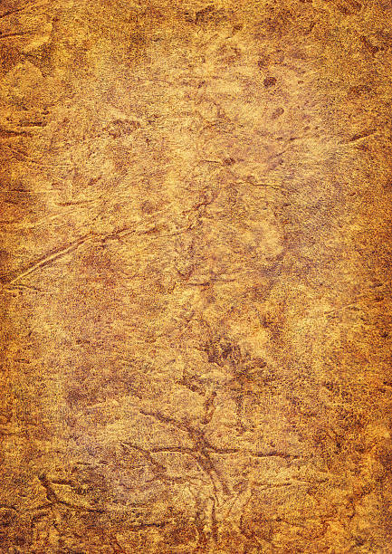 istock High Resolution Antique Animal Skin Parchment (Vellum) Vignetted Grunge Texture 157581617