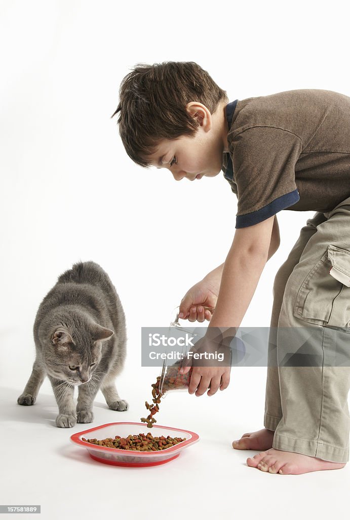 Petit garçon nourrir son chat - Photo de Chat domestique libre de droits