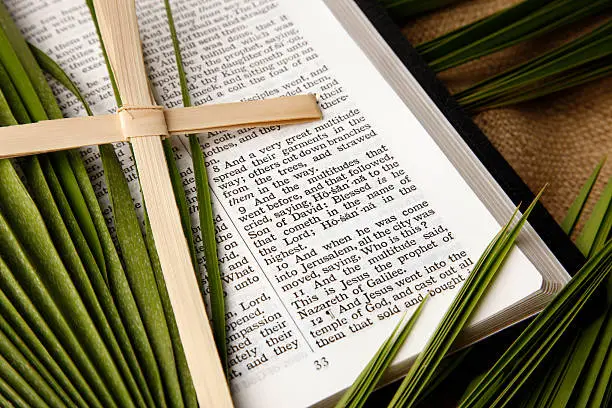 Real palm branches and a palm cross with a KJV Bible open to Matthew 21 - the triumphal ride of Christ into Jerusalem.