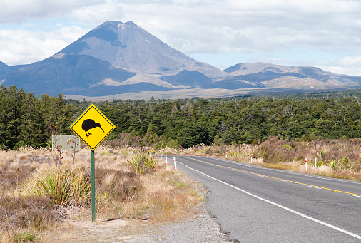 A roadside sign warning of Kiwi birds near the volcanic peak of Mount Ngauruhoe, North Island New Zealand.