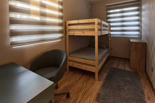 View of the modern and cozy bedroom with bunkbed.