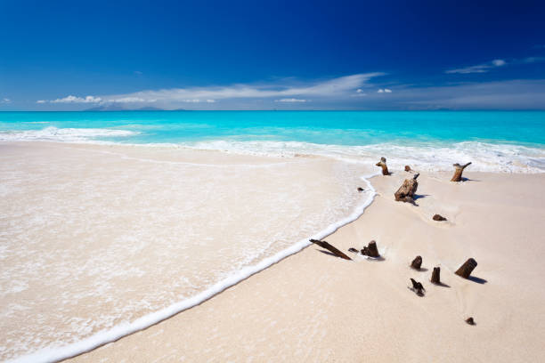 A pristine and lonely beach at Clam Pass nature Park in GUlf of Mexico, Naples beach, Florida.