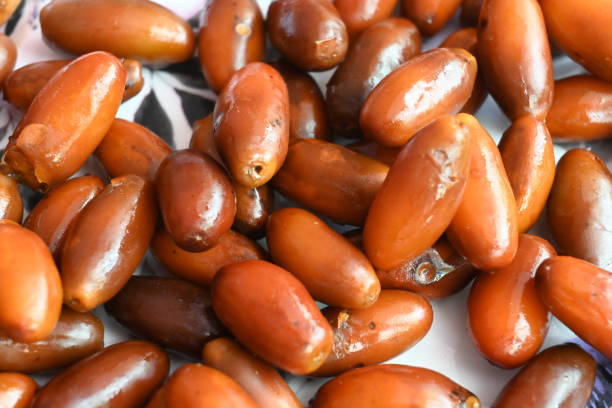 istock Date palm fruits. 1575837644