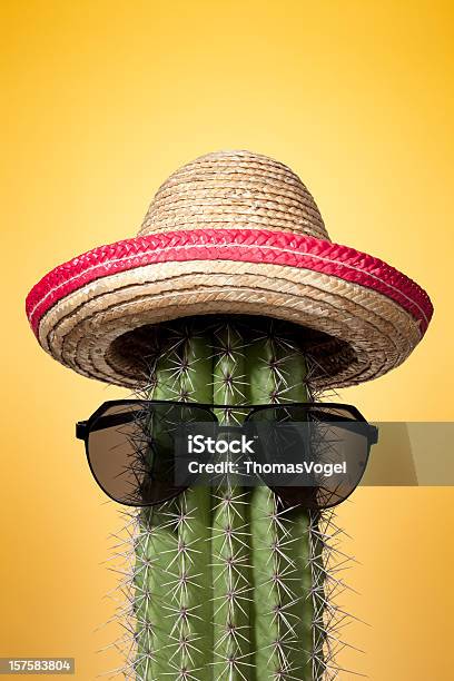 Mexikokaktus Sommer Humor Sombrero Mexikanische Kultur Holiday Heat Stockfoto und mehr Bilder von Hut