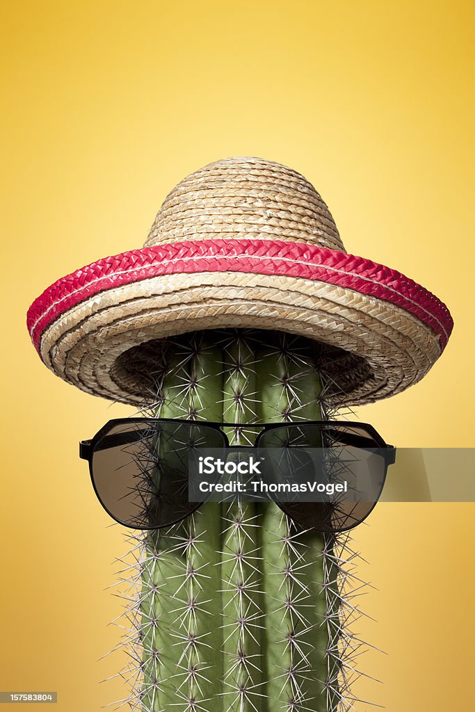 メキシコカクタスます。フモールソンブレロ夏の暑さのメキシコの文化 - 帽子のロイヤリティフリーストックフォト