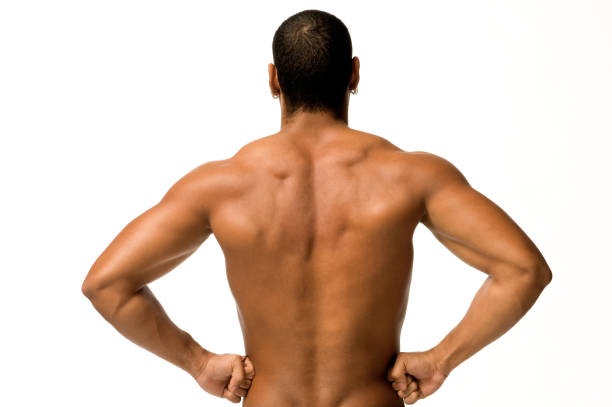 male back stock photo