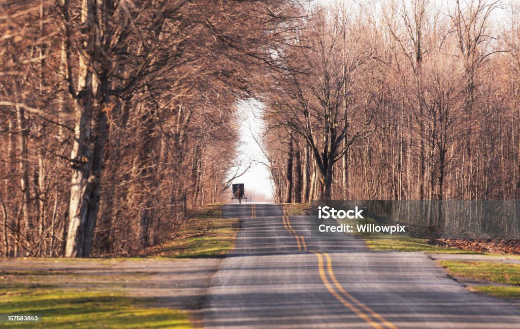 Amish cavallo e Buggy avvicinarsi lontani su una strada di campagna - Foto stock royalty-free di Laghi Finger